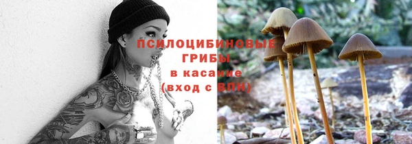 твердый Покачи